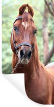 Muurstickers - Sticker Folie - Paard - Bos - Halster - 40x80 cm - Plakfolie - Muurstickers Kinderkamer - Zelfklevend Behang - Zelfklevend behangpapier - Stickerfolie