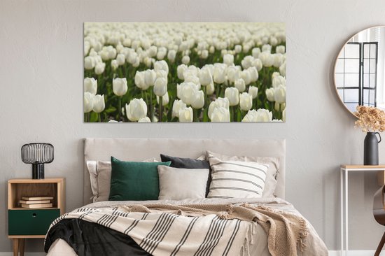 Tableau sur toile Tulipes Witte dans un champ - 160x80 cm - Décoration murale