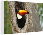 Un toucan regarde hors d'un trou de nid Toile 90x60 cm - Tirage photo sur toile (Décoration murale salon / chambre)