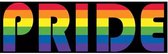 GoedeDoelen.Shop | (Auto) Sticker Pride | Scooter Sticker | Weersbestendig | Pride Sticker | Rainbow | LGBTQ | Statement