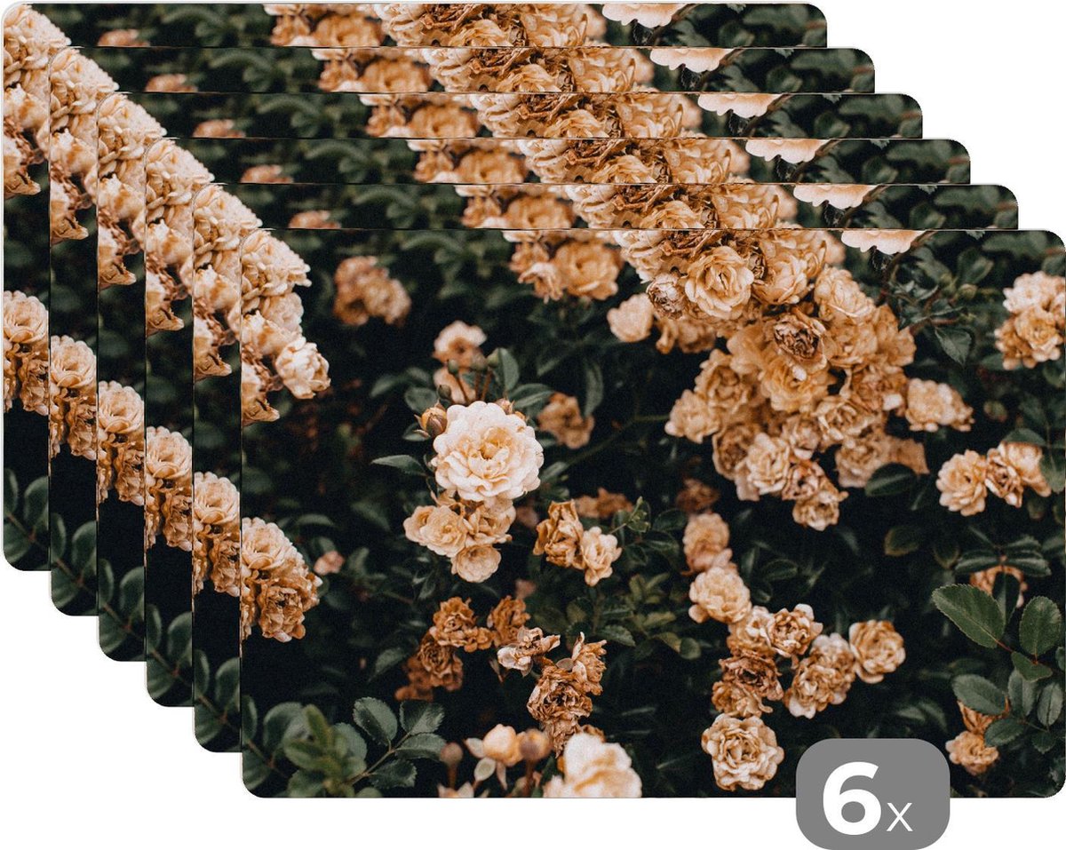 Placemat - Placemats kunststof - Rozenstruik - Bloemen - Bladeren - 45x30 cm - 6 stuks - Hittebestendig - Anti-Slip - Onderlegger - Afneembaar