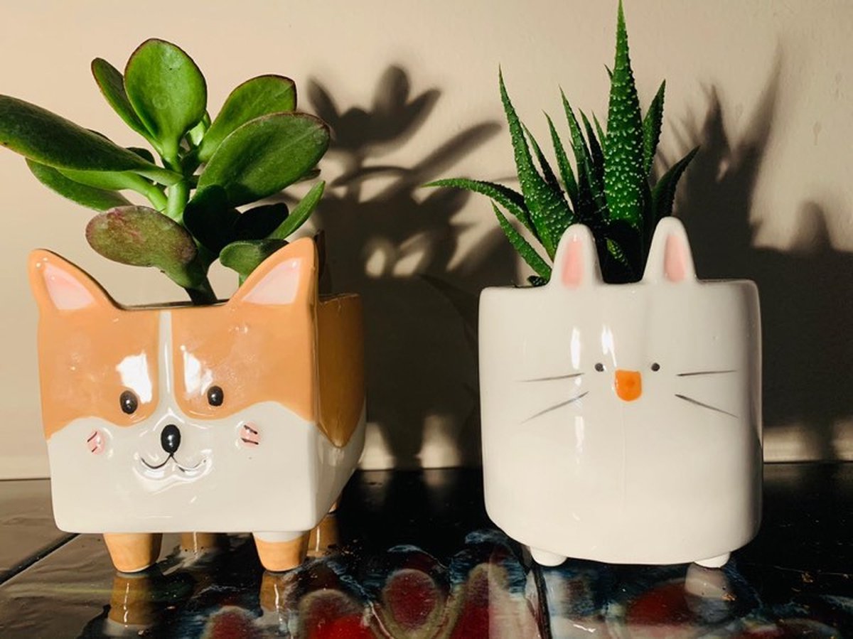 Schattige Bloempotten in Dierenstijl