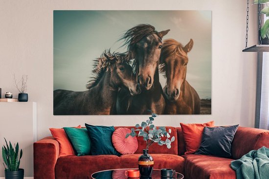 Tableau sur toile Paarden - Gros plan - Soleil - 150x100 cm - Décoration murale