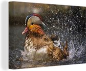 Canvas Schilderij Vogel - Mandarijneend - Water - 60x40 cm - Wanddecoratie