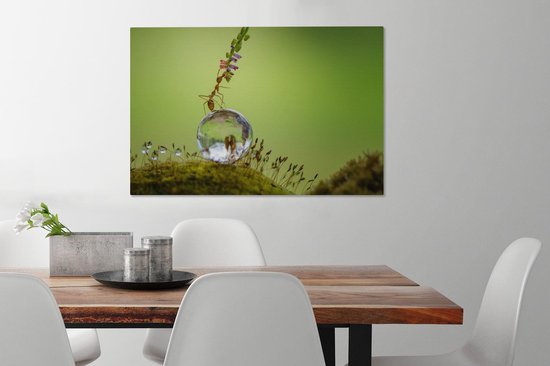 Tableau sur toile Fourmi assise sur une goutte d'eau - 60x40 cm - Décoration murale