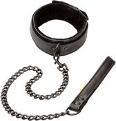 CalExotics - Boundless Collar & Leash - Bondage / SM Collar and leash Zwart