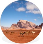 WallCircle - Wandcirkel ⌀ 60 - Wadi Rum - Kameel - Woestijn - Ronde schilderijen woonkamer - Wandbord rond - Muurdecoratie cirkel - Kamer decoratie binnen - Wanddecoratie muurcirkel - Woonaccessoires