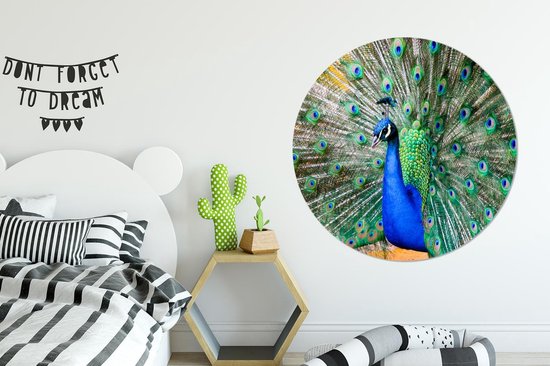 Cercle mural - Cercle mural - Paon - Ressorts - Blauw - Aluminium - Dibond - ⌀ 120 cm - Intérieur et Extérieur XXL