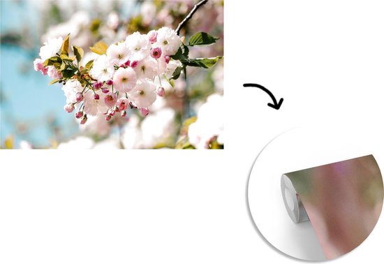 Papier peint - Papiers Papier peint photo Fleurs - Fleur - Printemps - Largeur 450 cm x Hauteur 300 cm