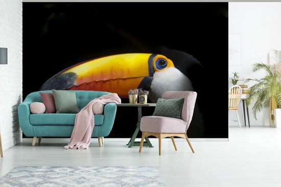 Papier peint Papier peint photo en vinyle - Toucan géant sur fond noir largeur 360 cm x hauteur 240 cm - Tirage photo sur papier peint (disponible en 7 tailles)