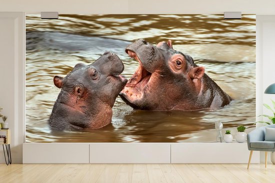 Papier peint - Papier peint Papier peint photo Hippopotame - Animaux - Water - Largeur 395 cm x hauteur 220 cm