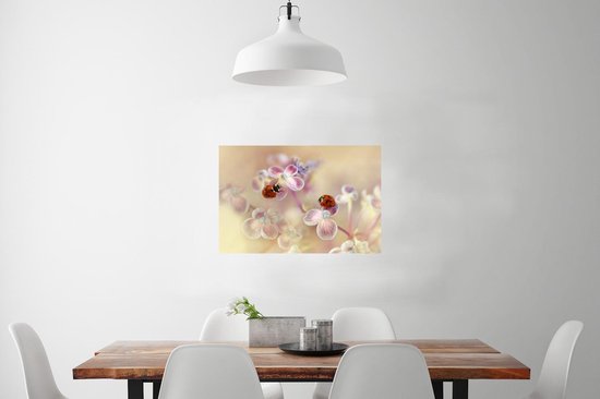 Affiche Deux coccinelles assises sur des fleurs d'hortensia - 60x40 cm