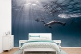 Behang - Fotobehang Dolfijn - Zon - Zee - Breedte 600 cm x hoogte 400 cm