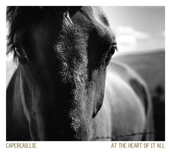 Foto: Capercaillie at the heart of it all cd 