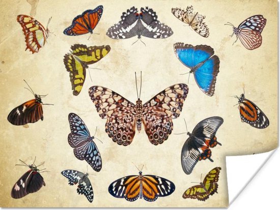 Botanische print vlinders Poster 180x120 cm - Foto print op Poster (wanddecoratie) XXL / Groot formaat!