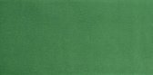 cr√™pepapier 50 x 250 cm 28 grams 10 stuks groen