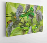 Canvas schilderij -  Productnummer   1386878 - 80*60 Horizontal