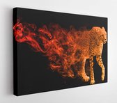 Canvas schilderij - World fasting land animal cheetah wildlife image, african animal kingdom big cats  -     639662932 - 50*40 Horizontal