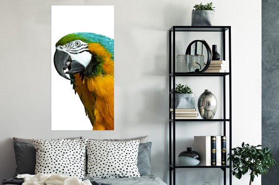Affiche Perroquet - Vogel - Ressorts - Portrait - 60x120 cm