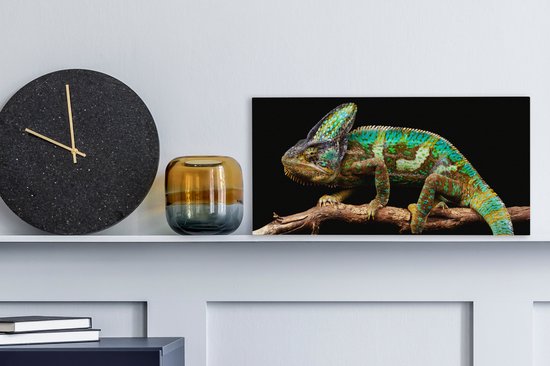 Tableau sur toile Caméléon - Branche - Vert - 40x20 cm - Décoration murale