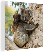 Canvas Schilderij Koala's - Kind - Boom - Kinderen - Jongens - Meiden - 90x90 cm - Wanddecoratie