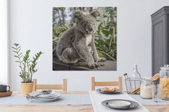 Tableau Toile Koala - Bois - Plantes - 90x90 cm - Décoration murale