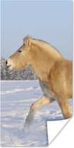 Poster Dravend fjord paard in de sneeuw - 80x160 cm