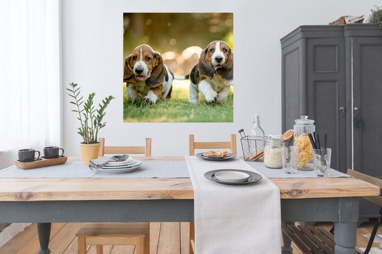 Poster Chiots courant dans l'herbe - 100x100 cm XXL