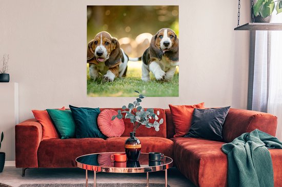 Poster Chiots courant dans l'herbe - 100x100 cm XXL