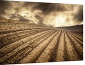 droog veld met dramatische wolken - Foto op Dibond - 60 x 40 cm