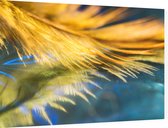 Close-up van gouden veer - Foto op Dibond - 90 x 60 cm
