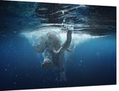 Olifant Onderwater - Foto op Dibond - 90 x 60 cm