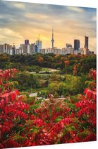 Zomers uitzicht op de skyline van Toronto met CN Tower - Foto op Dibond - 30 x 40 cm