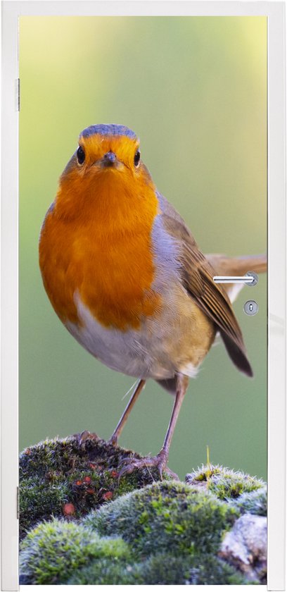 Deursticker Stenen - Roodborstje - Natuur - 95x235 cm - Deurposter
