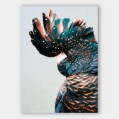 Artistic Lab Poster - Light Cockatoo Dibond - 180 X 120 Cm - Multicolor