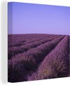 Lavendelvelden-canvas 2cm - 1:1 - 7-2
