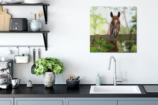 Tableau sur toile Cheval - Nature - Clôture - 50x50 cm - Décoration murale