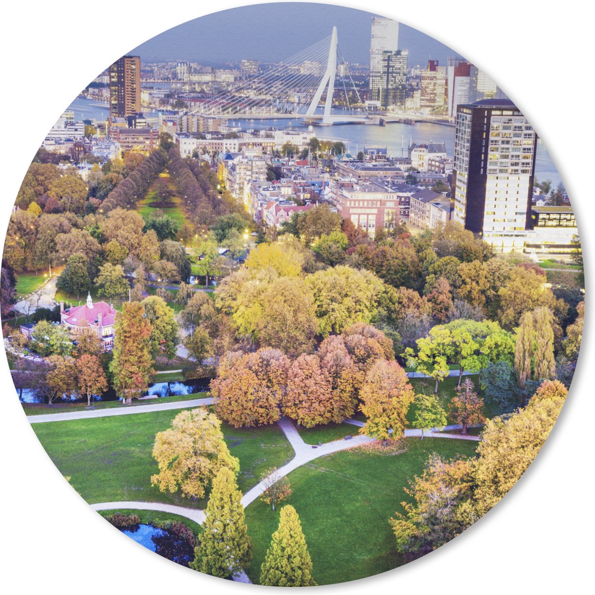 Muismat rond 50x50 cm - Mousepad Rotterdam - Nederland - Boom - Ronde muismatten