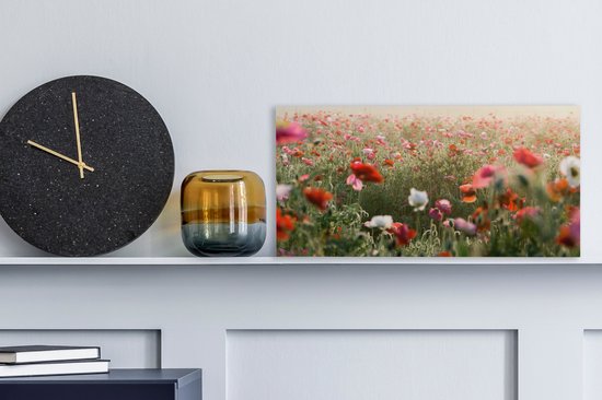 Toile Peinture Coquelicot - Couleurs - Pastel - 40x20 cm - Décoration murale