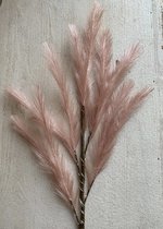 Set van 2 sfeervolle decoratie pluimen / takken met led verlichting 90 cm | Kleur oud roze | Home Sweet Home