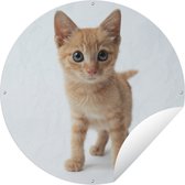 Garden Circle Chat - Rouge - Chaton - Filles - Enfants - Garçons - Enfant - 120x120 cm - Affiche de Jardin Ronde - Extérieur - XXL
