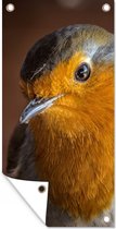 Affiche de clôture Robin - Portrait - Vogel - 100x200 cm - Toile de jardin