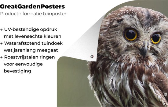 Affiche de jardin Gros plan de la chouette - 60x30 cm