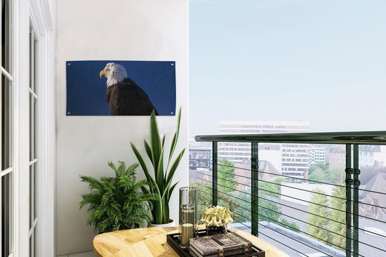 Poster de jardin Aigle - Gros plan - Branche - 60x30 cm - Toile de jardin - Poster extérieur