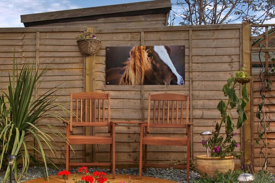 Poster de jardin Cheval - Léger - Fourrure - 60x30 cm - Toile de jardin - Poster extérieur