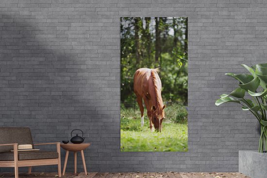 Affiche de clôture Cheval - Fleurs - Lumière - 100x200 cm - Toile de jardin