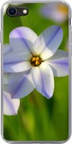 Geschikt voor iPhone 7 hoesje - Bloemen - Tuin - Paars - Siliconen Telefoonhoesje