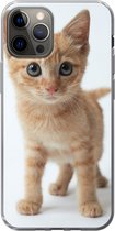 Geschikt voor iPhone 12 Pro hoesje - Kat - Rood - Kitten - Meisjes - Kinderen - Jongens - Kindje - Siliconen Telefoonhoesje