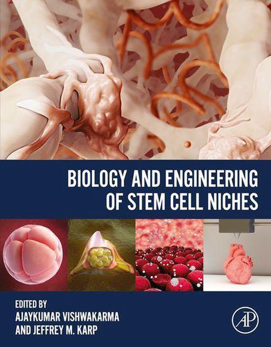 Biology and Engineering of Stem Cell Niches - cover
