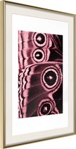 Poster Butterfly Wings 20x30